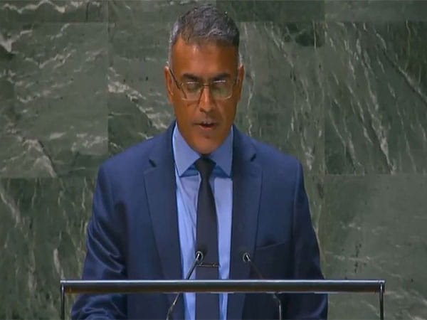 India engaged in peace-building via extensive development partnerships with Global South countries