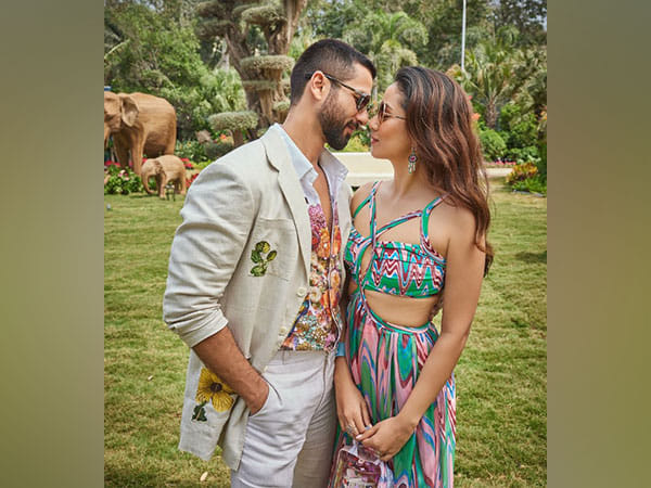 Shahid Kapoor, wife Mira drop pics from their family vacation