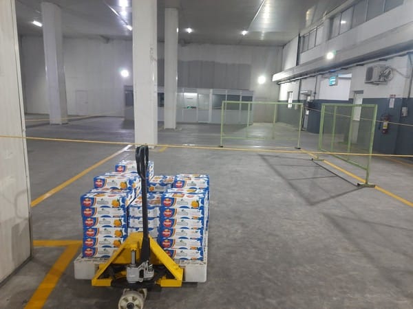 Gujarat exported 689.5 tonnes of mangoes in 2023-24