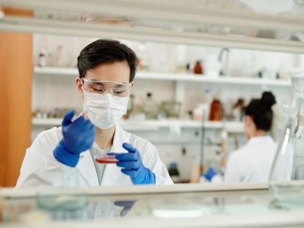 Health sector crucial for robust economy, says Economic Survey 2024