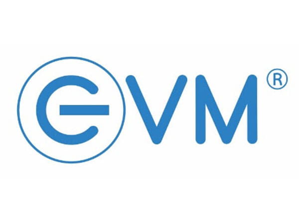 Amidst Foreign Dominance, Indian Brand EVM Emerges as 'Leading SSD Brand of 2023'