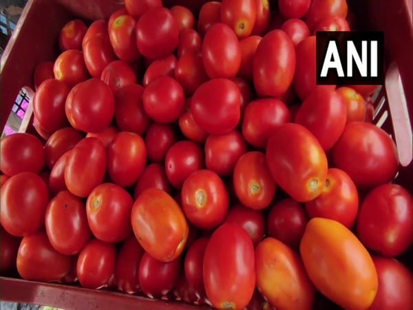 After Delhi NCR, tomatoes being sold at Rs 60/kg in select locations in Mumbai