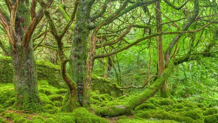 Representational image | Flickr