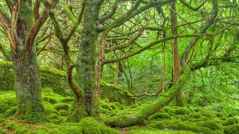 SubscriberWrites: Rise of Neolocals & Call for Inclusive Globalization and Climate Action