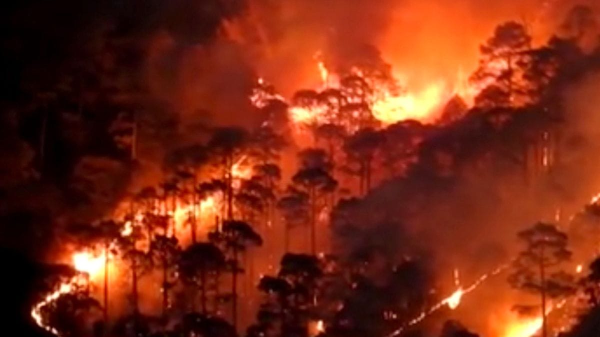 Rajya Sabha panel flags 'knowledge gap' on climate change's role in Himalayan forest fires