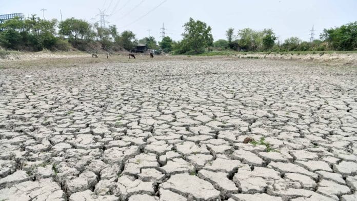 A view of an almost dried-up bed of a natural pond on a hot summer day in New Delhi | Photo: ANI
