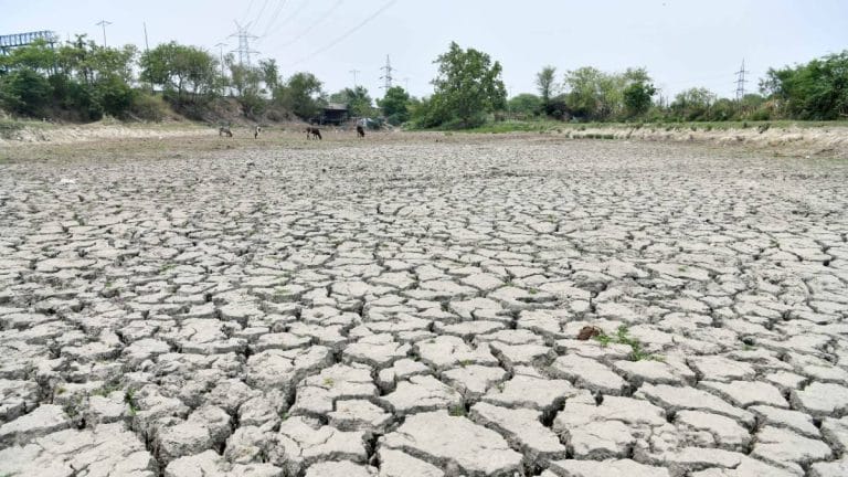 Prolonged heatwaves new normal in India & world, mitigation measures necessary — Moody’s report