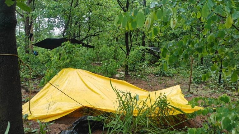 Gadchiroli police gun down 12 Maoists in encounter, Chhattisgarh STF sees 2 casualties in IED blast