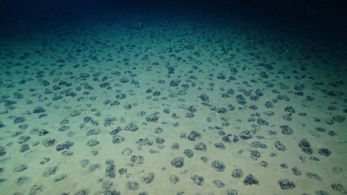 Deep sea nodules on the seafloor in the Clarion-Clipperton Zone of the Pacific Ocean | Photo: smartexccz.org via Natural History Museum
