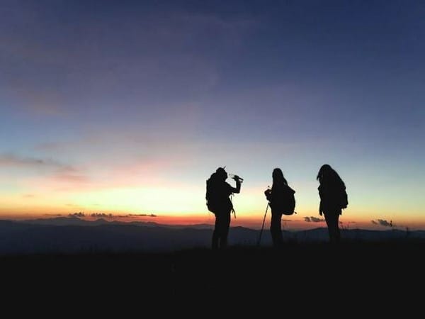 India's tour and travel revenue set to soar 15-17 per cent this fiscal: CRISIL