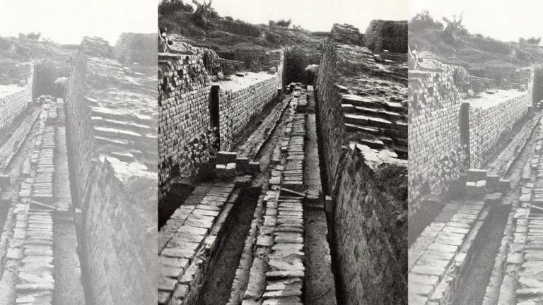 Harappan cities had remarkable drainage systems. Delhi can learn a thing or two