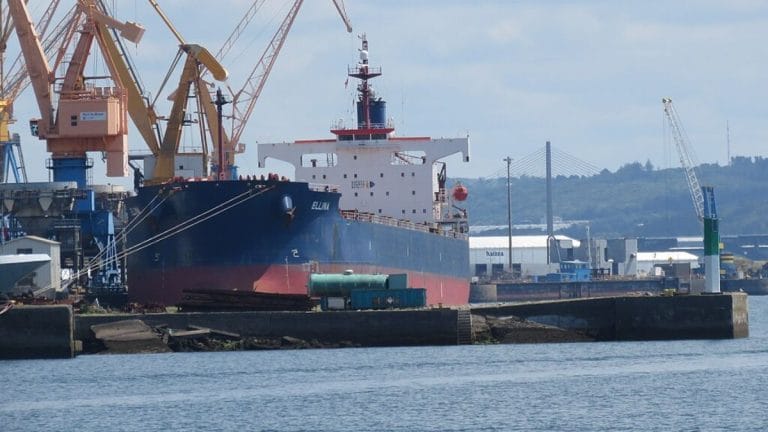 Here’s how the shipping industry can decarbonise—electric ferries, wind-powered boats