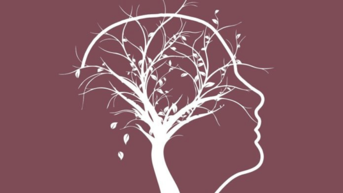 Representational photo | Pixabay