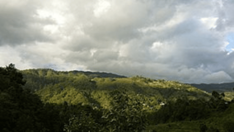 Helicopter crashes in Nepal forest, killing all five on board