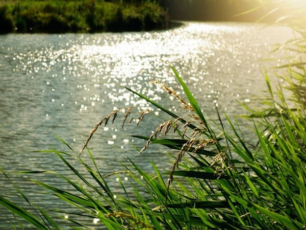 Interlinking river projects to offer business opportunities worth Rs 80,000 crore over next 4 years: ICRA