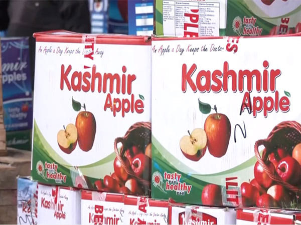 Apple growers in Sopore demand cold storage, trade tax waiver and subsidy on pesticides ahead of J-K assembly polls