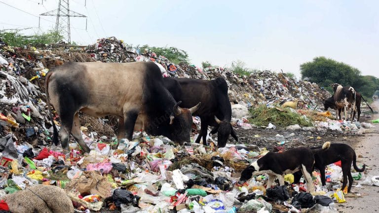 SubscriberWrites: Bridging the garbage divide