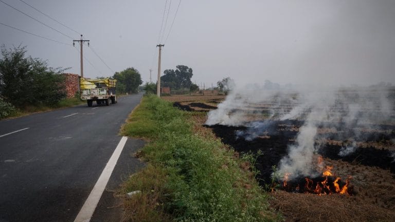 16 Haryana farmers arrested for burning crop waste as pollution rises in north India