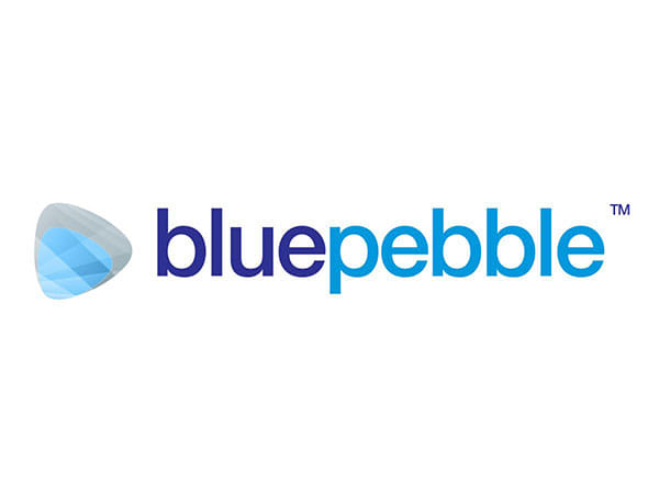 Blue Pebble Limited H1 FY25 Results: PAT Soars by 356.27 per cent