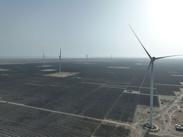 Adani Green Energy's Q2 profits rose 21 per cent to Rs 1,249 crore