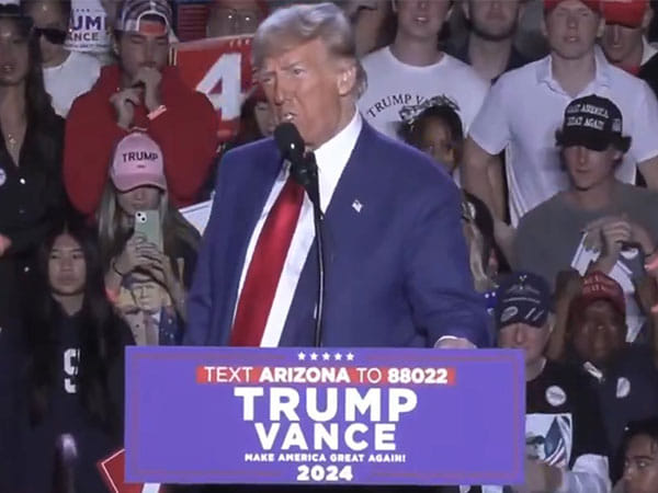 Trump win may impact India's IT sector but defence, energy, and commodities may benefit: Report