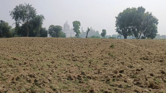 A section of the tilled land inside Agra's Gyarah Sidi Park. The Taj Mahal can be seen in the backdrop | Amir Qureshi | ThePrint