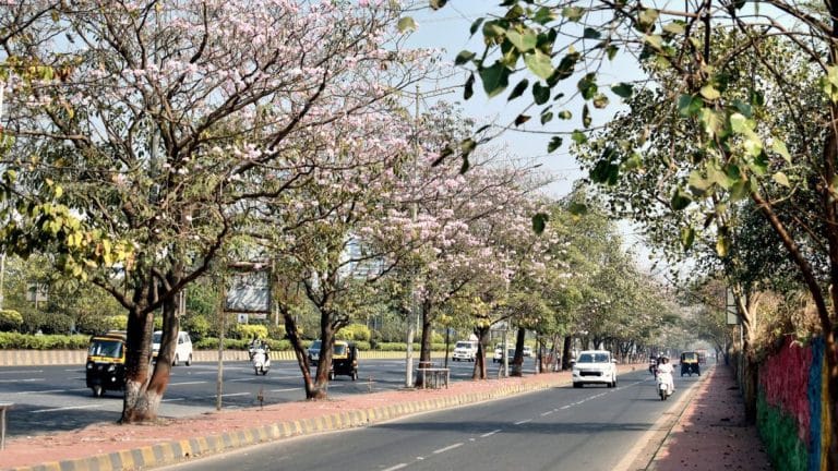 Warmer than usual Octobers? Meteorologists blame climate change and changing weather patterns