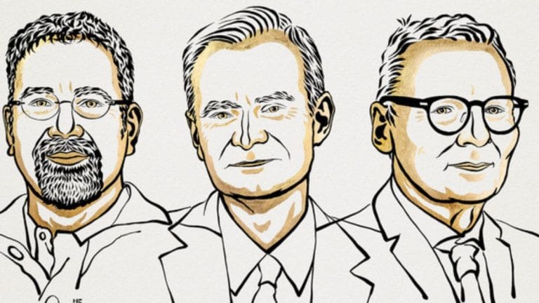 2024 Nobel Prize in Economics disregards history. It minimises effects of race, colonialism