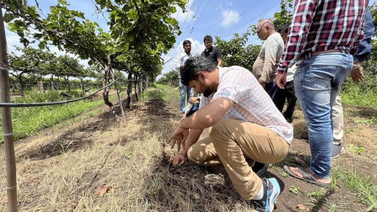 These are the Bengaluru startups bringing AI and farmers together