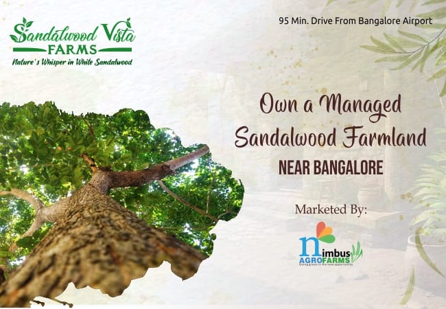 Estatebull Realtors Launches Sandalwood Vista Farms: A Luxurious Retreat Embracing Nature and Sustainable Living Near Hindupur