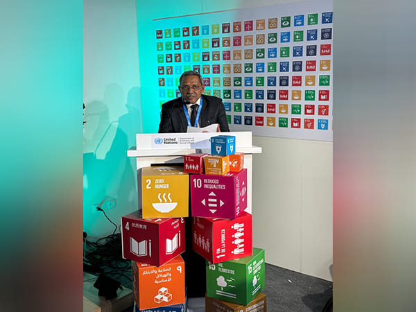 NGT Chairperson Justice Prakash Shrivastava advocates for judicial leadership in Climate Action at COP 29