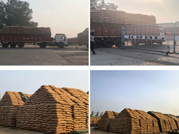 India Gate aims record paddy procurement this season, eyes strong Basmati exports
