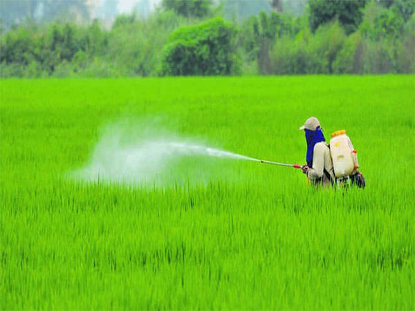 46 % of India's workforce in agriculture contributes only 18 % to GDP: Report