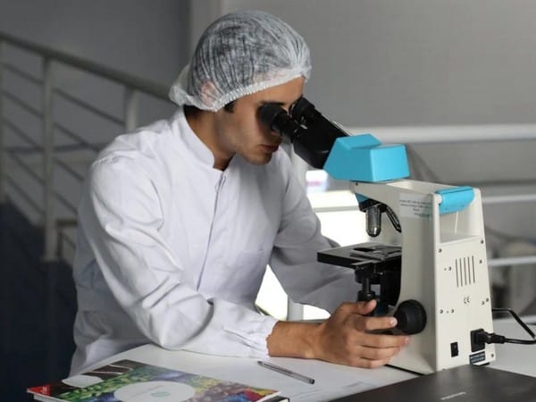 Here is how cancer cells fend off starvation, death from chemotherapy, finds study 