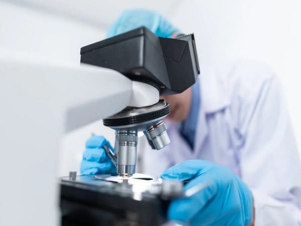 Brain stimulation effectiveness tied to learning ability, not age: Study 