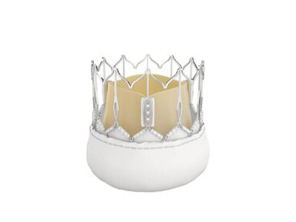 Meril's groundbreaking leap in heart valve innovation 'Myval Octapro THV' showcased at GISE 2024 and PCR London Valves