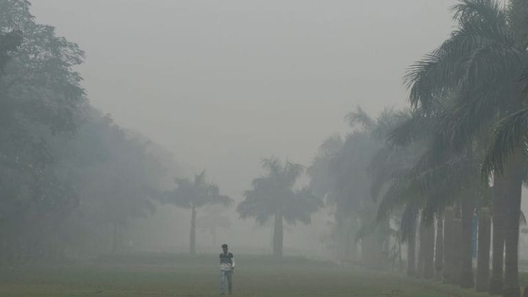 Toxic smog blankets north India, cuts off visibility; Delhi pollution ranks ‘severe’ 2nd day in a row