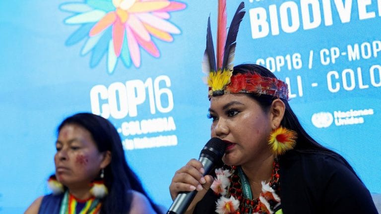 UN COP16 nature summit creates permanent body for Indigenous peoples