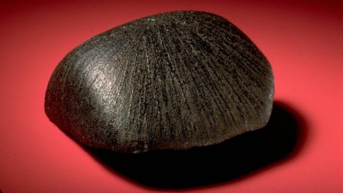 File photo of Lafayette meteorite | Courtesy: Smithsonian