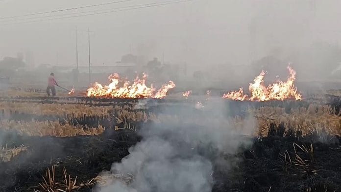 File photo of stubble burning in Punjab | Representational image | ANI