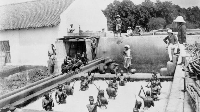 Blue jeans, British censorship, Bengal revolt—Indigo’s history is long and violent