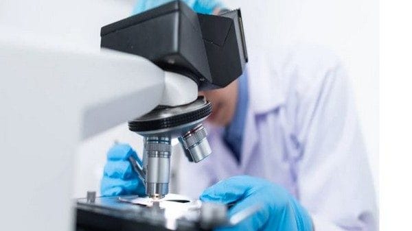 New study in breast cancer progression, drug resistance