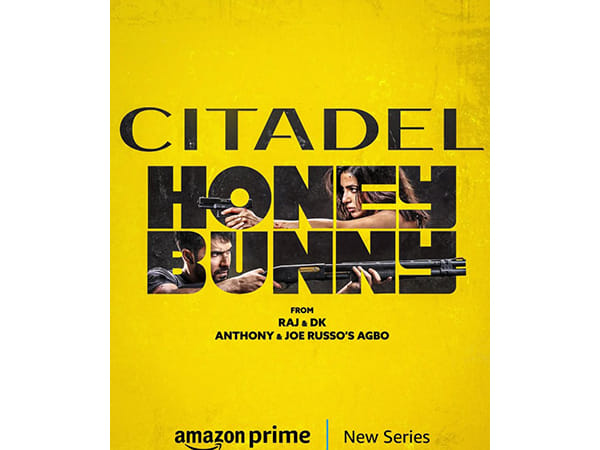 Critics Choice Awards 2025: 'Citadel Honey Bunny' nominated under Best Foreign Language category
