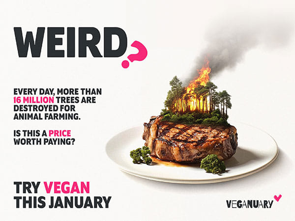 Veganuary 2025 campaign launched- questions the strange reality of food 'norms' 