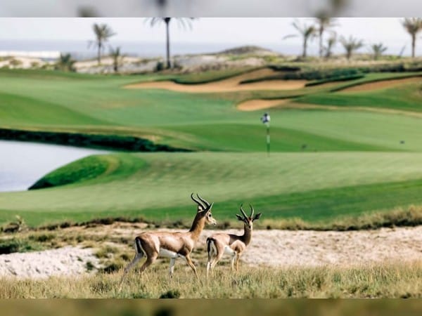 Green tourism in UAE: Nature's beauty embracing sustainability
