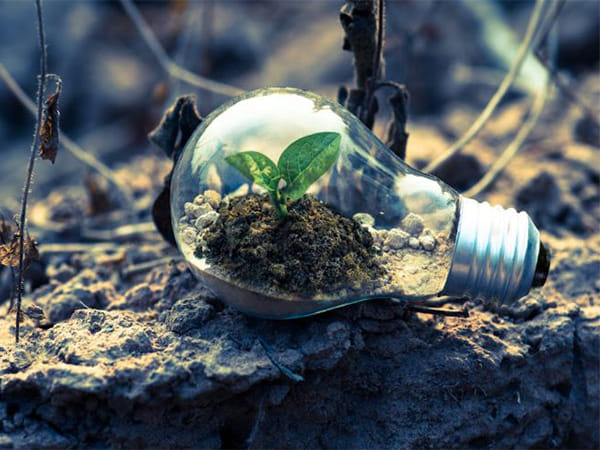 Outlook 2025: India's renewable sector strides unabated, industry leaders optimistic on future