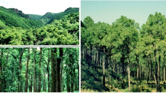 Haryana forest cover | Haryana Forest Department