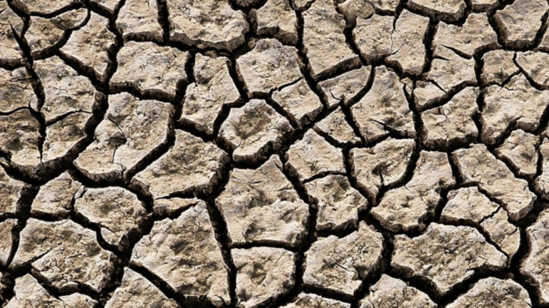 Humans degrading productive land double the size of Spain every year