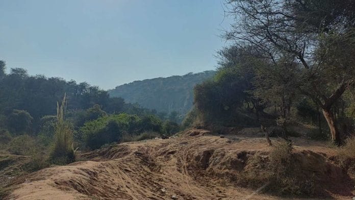 Aravalli Hills