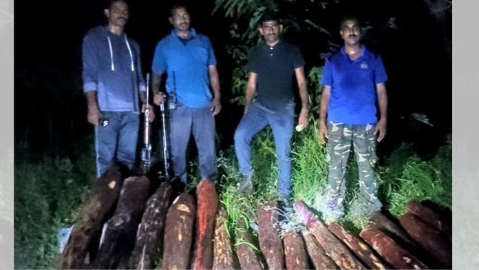 A raid on red sanders smugglers in Chittoor in 2020 | ANI